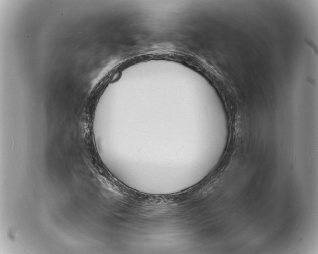 X0000102231400200808151718