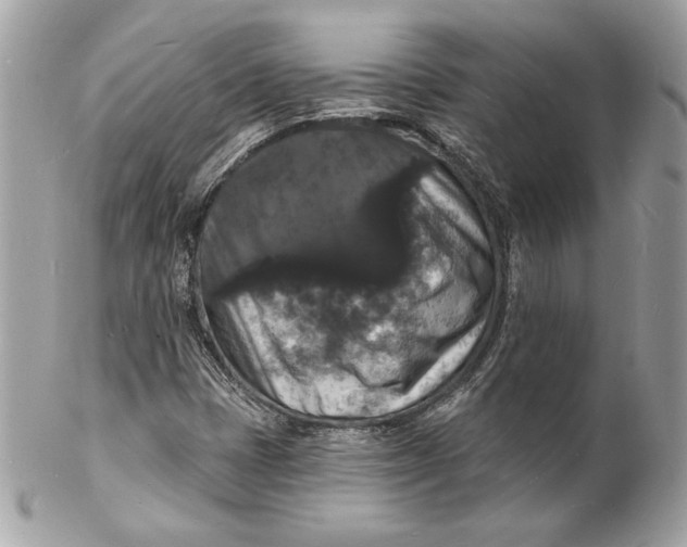 X0000102231401200808151718