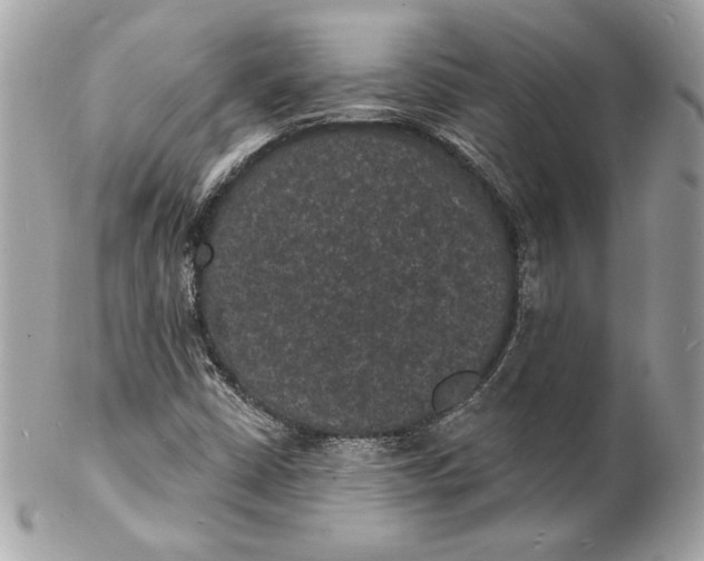 X0000102231402200808151718