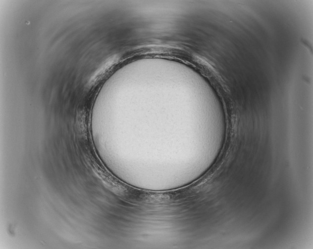 X0000102231403200808151718