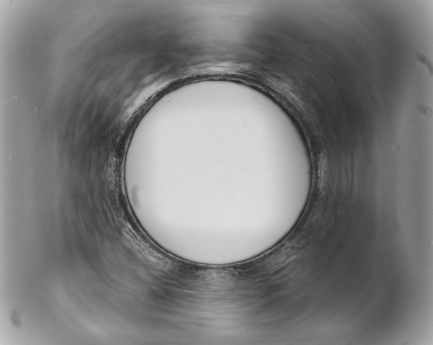 X0000102231404200808151718