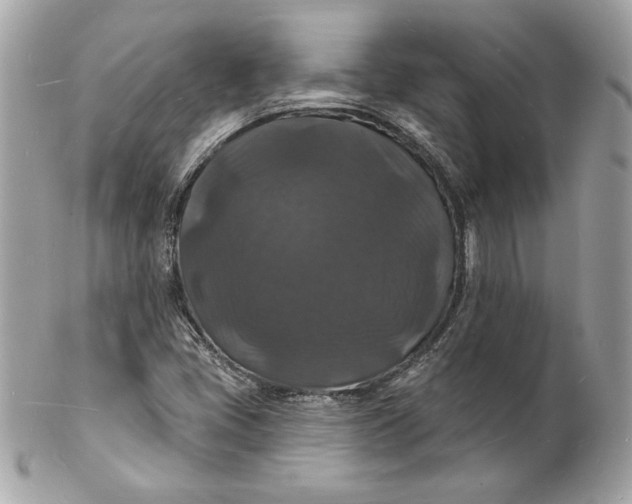 X0000102231405200808151718