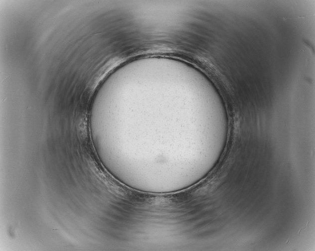 X0000102231409200808151718