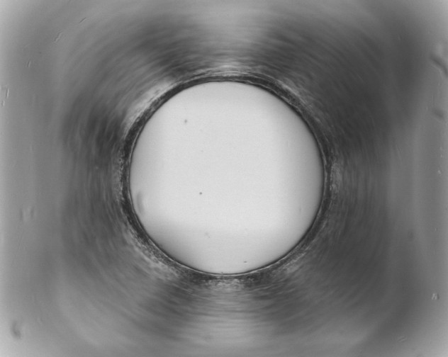 X0000102231410200808151718