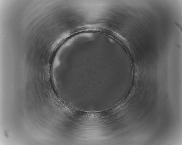X0000102231411200808151718