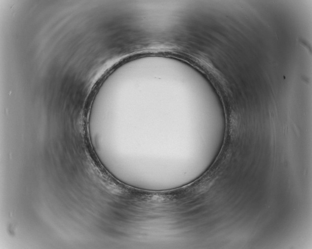X0000102231412200808151718