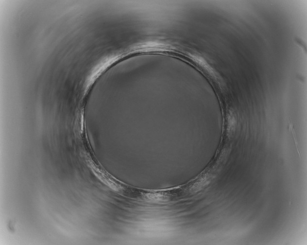 X0000102231413200808151718