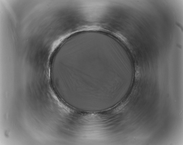 X0000102231414200808151718