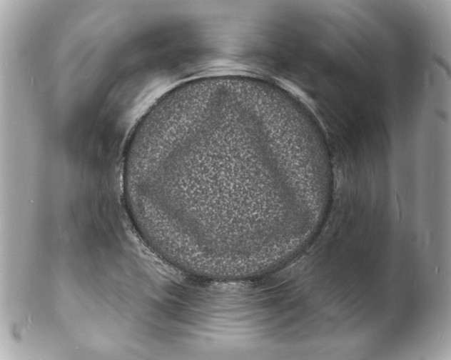 X0000102231415200808151718
