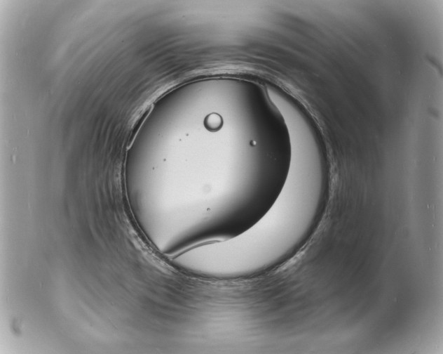 X0000102231417200808151718