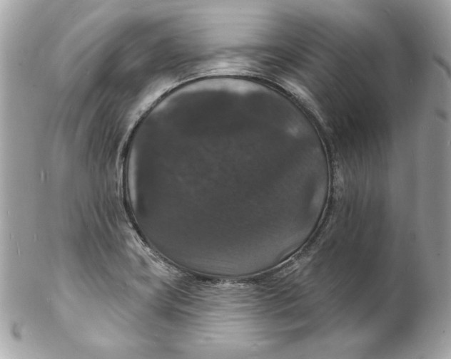 X0000102231419200808151718