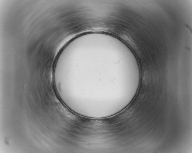 X0000102231420200808151718