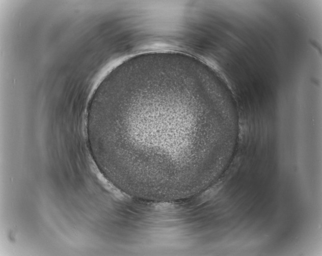 X0000102231421200808151718