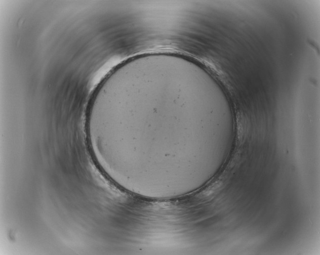 X0000102231422200808151718