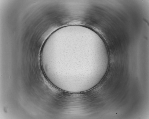 X0000102231423200808151718
