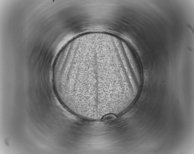 X0000102231424200808151718