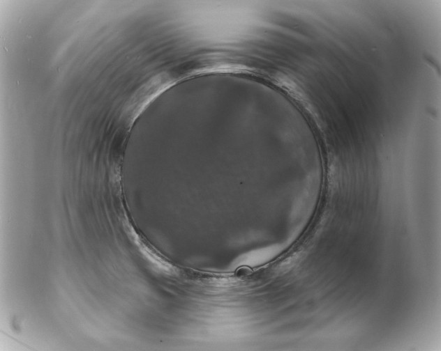 X0000102231425200808151718