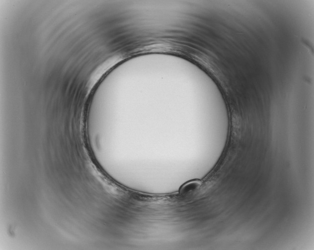 X0000102231426200808151718