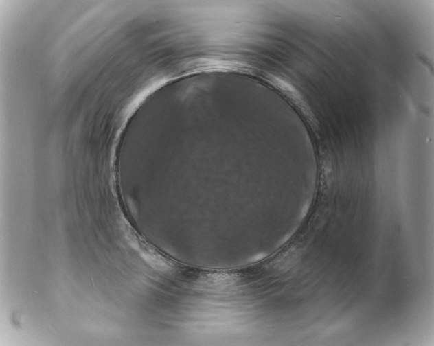 X0000102231427200808151718