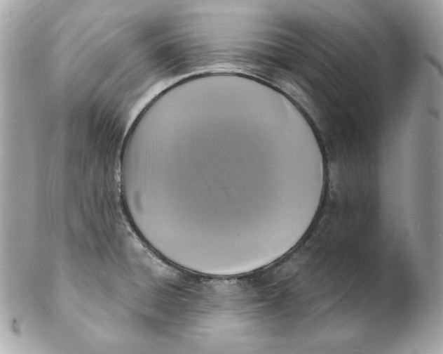 X0000102231428200808151718