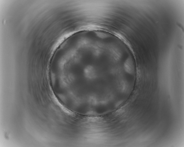 X0000102231429200808151718