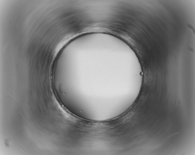 X0000102231430200808151718