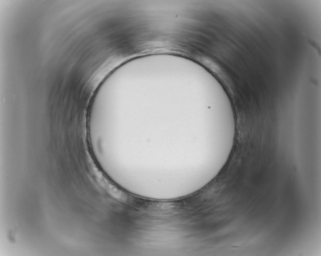 X0000102231431200808151718