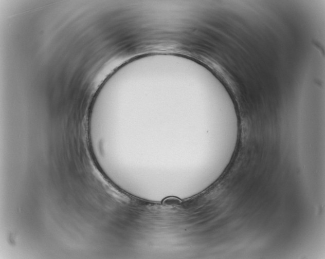 X0000102231432200808151718