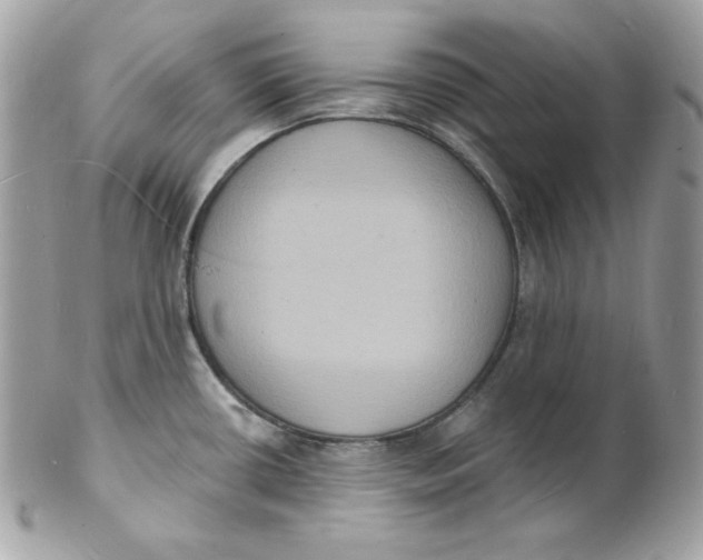 X0000102231434200808151718