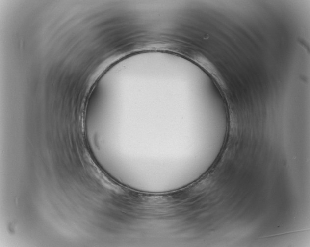 X0000102231436200808151719