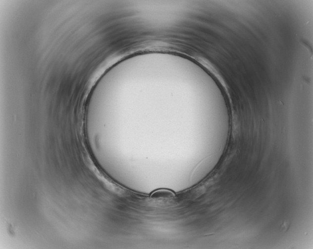 X0000102231437200808151719
