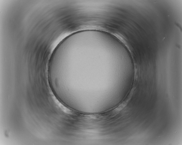 X0000102231438200808151719