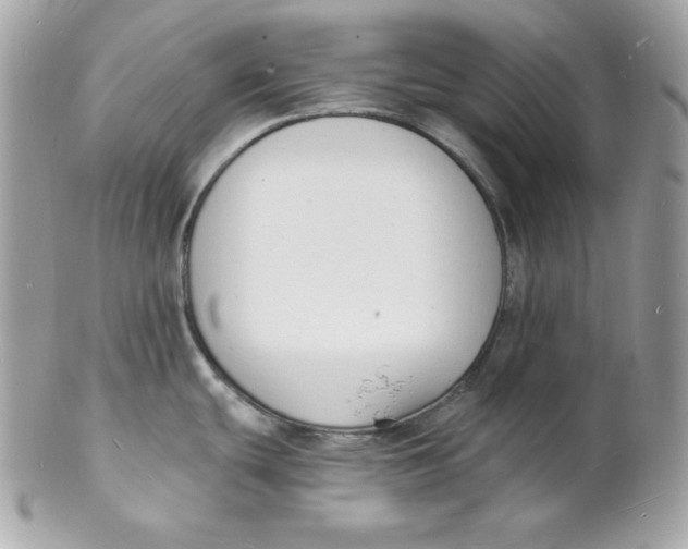 X0000102231439200808151719