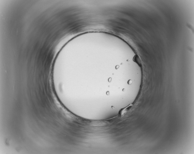 X0000102231440200808151719