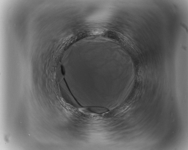X0000102231441200808151718