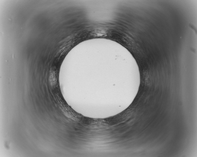 X0000102231442200808151718