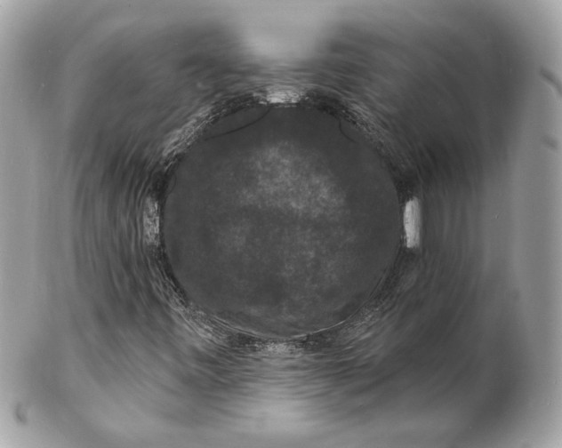 X0000102231443200808151718