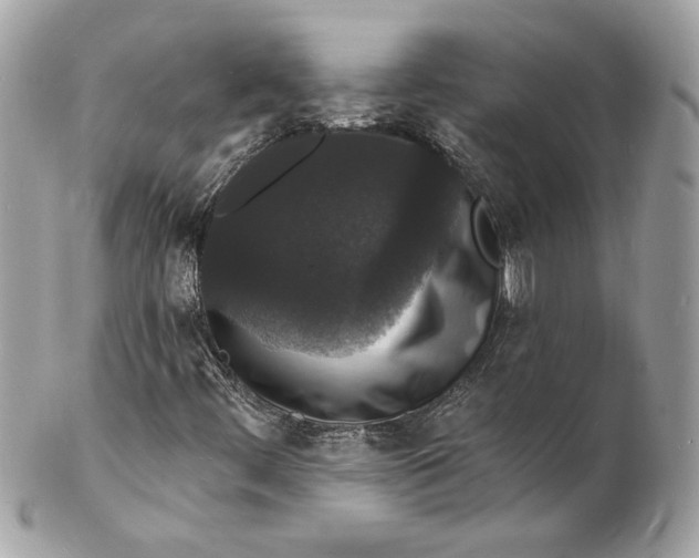 X0000102231444200808151718