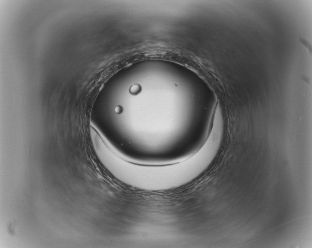 X0000102231445200808151718