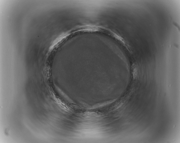 X0000102231448200808151718