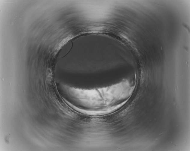 X0000102231449200808151718
