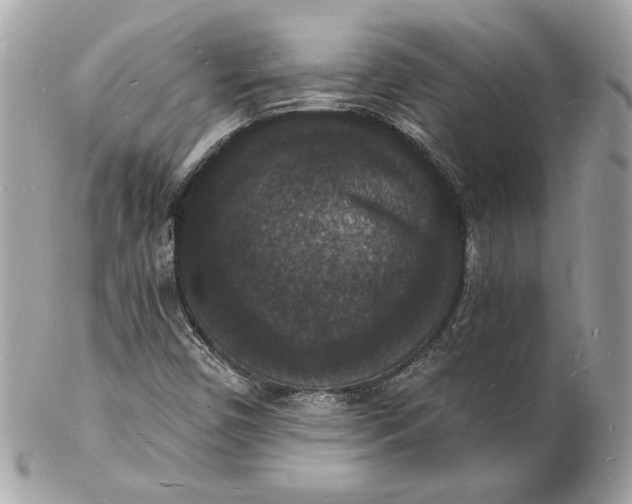 X0000102231450200808151718