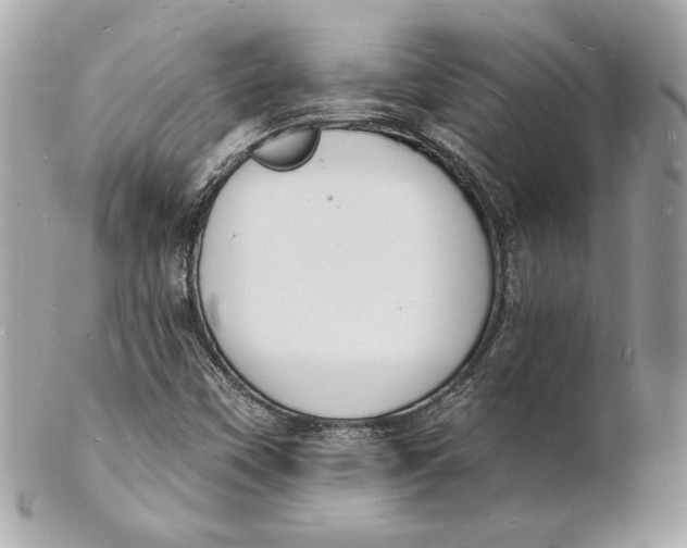 X0000102231451200808151718