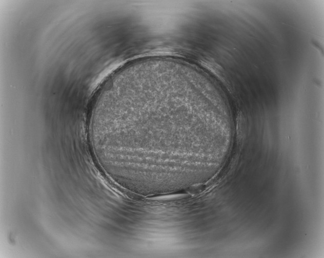 X0000102231452200808151718