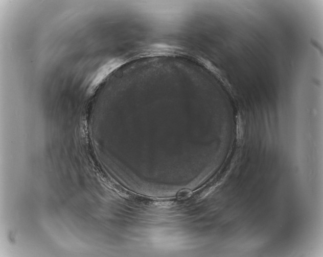 X0000102231453200808151718