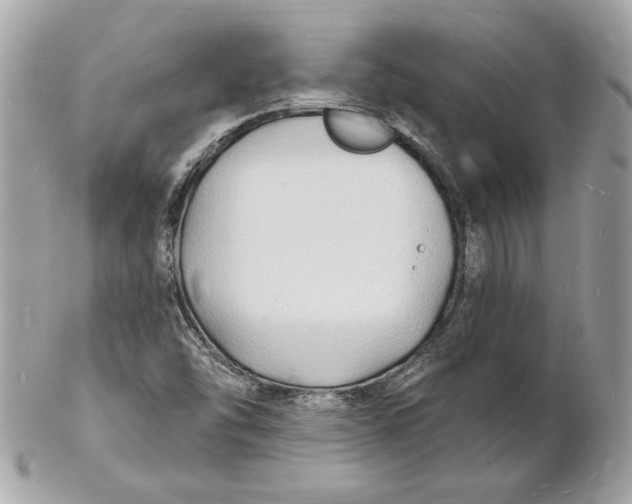 X0000102231454200808151718