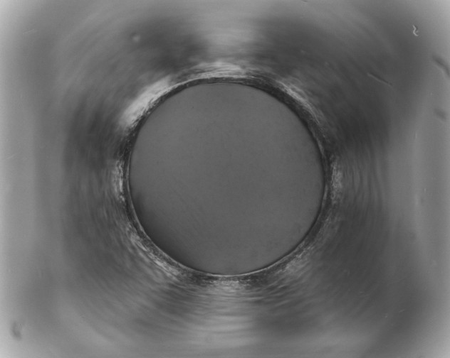 X0000102231455200808151718