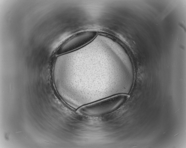 X0000102231456200808151718