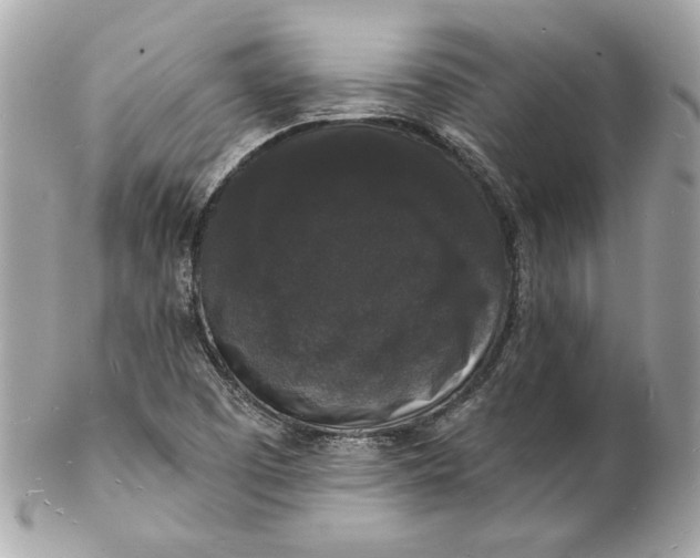 X0000102231457200808151717