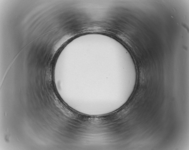 X0000102231458200808151717